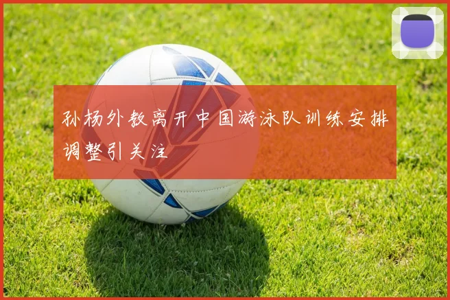 孙杨外教离开中国游泳队训练安排调整引关注