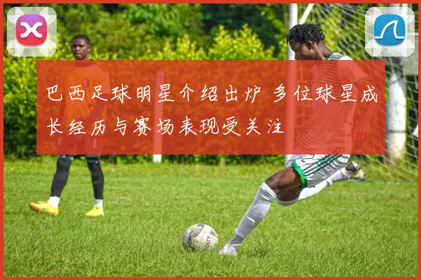 巴西足球明星介绍出炉 多位球星成长经历与赛场表现受关注