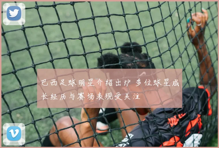 巴西足球明星介绍出炉 多位球星成长经历与赛场表现受关注